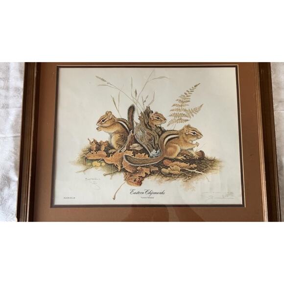 Jim Oliver Signed Print Eastern Chipmunks Framed Wildlife Art Plate 20 - Picture 2 of 15